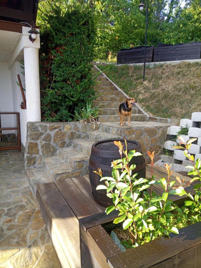 Ferienwohnung Cesargradska Klet Tuhelj Exterior foto