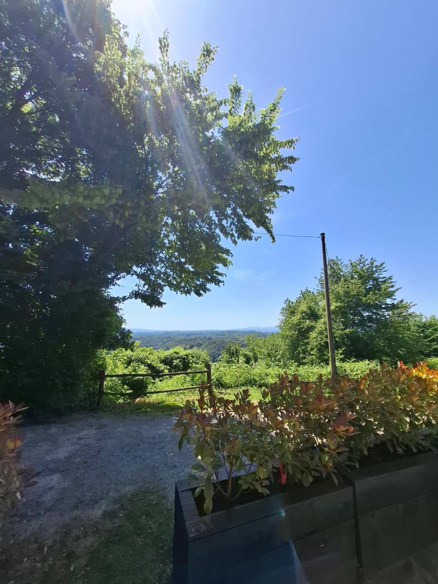 Ferienwohnung Cesargradska Klet Tuhelj Exterior foto